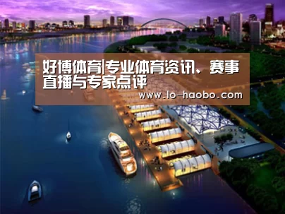 案例展示八(图1)