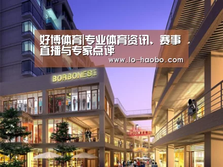 案例展示一(图1)